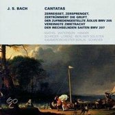 Weltliche Kantaten BWV205