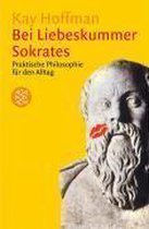 Bei Liebeskummer Sokrates