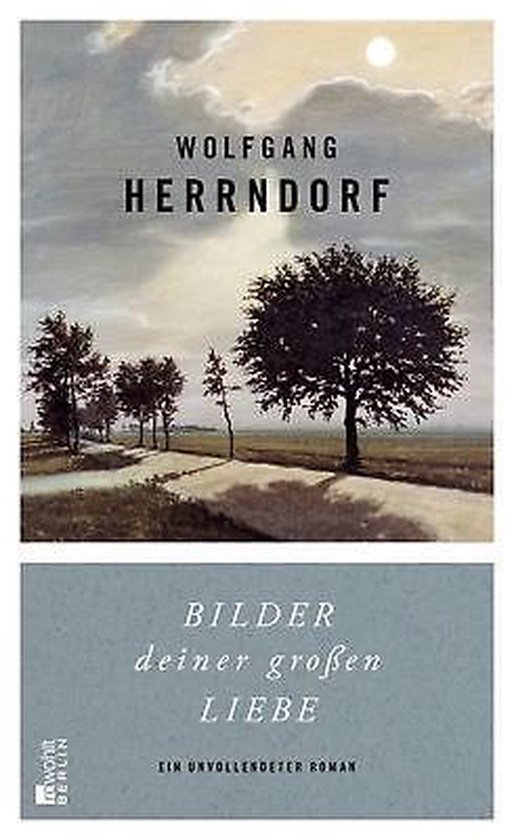 Boekcover met landschap van een boom aan een weg, met de tekst 'BILDER deiner großen LIEBE'.