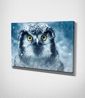 Owl In The Winter Canvas | 80x120 cm