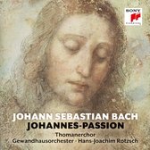 Johannes-Passion/St John Passion Bwv 245