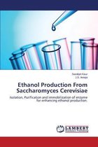 Ethanol Production from Saccharomyces Cerevisiae