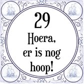 Verjaardag Tegeltje met Spreuk (29 jaar: Hoera! Er is nog hoop! 29! + cadeau verpakking & plakhanger