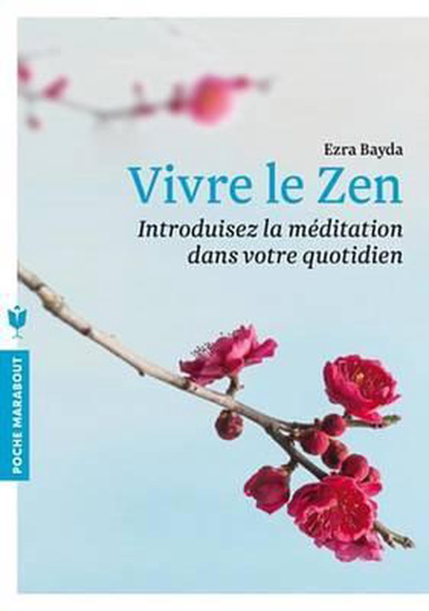 Vivre le zen - Ezra Bayda