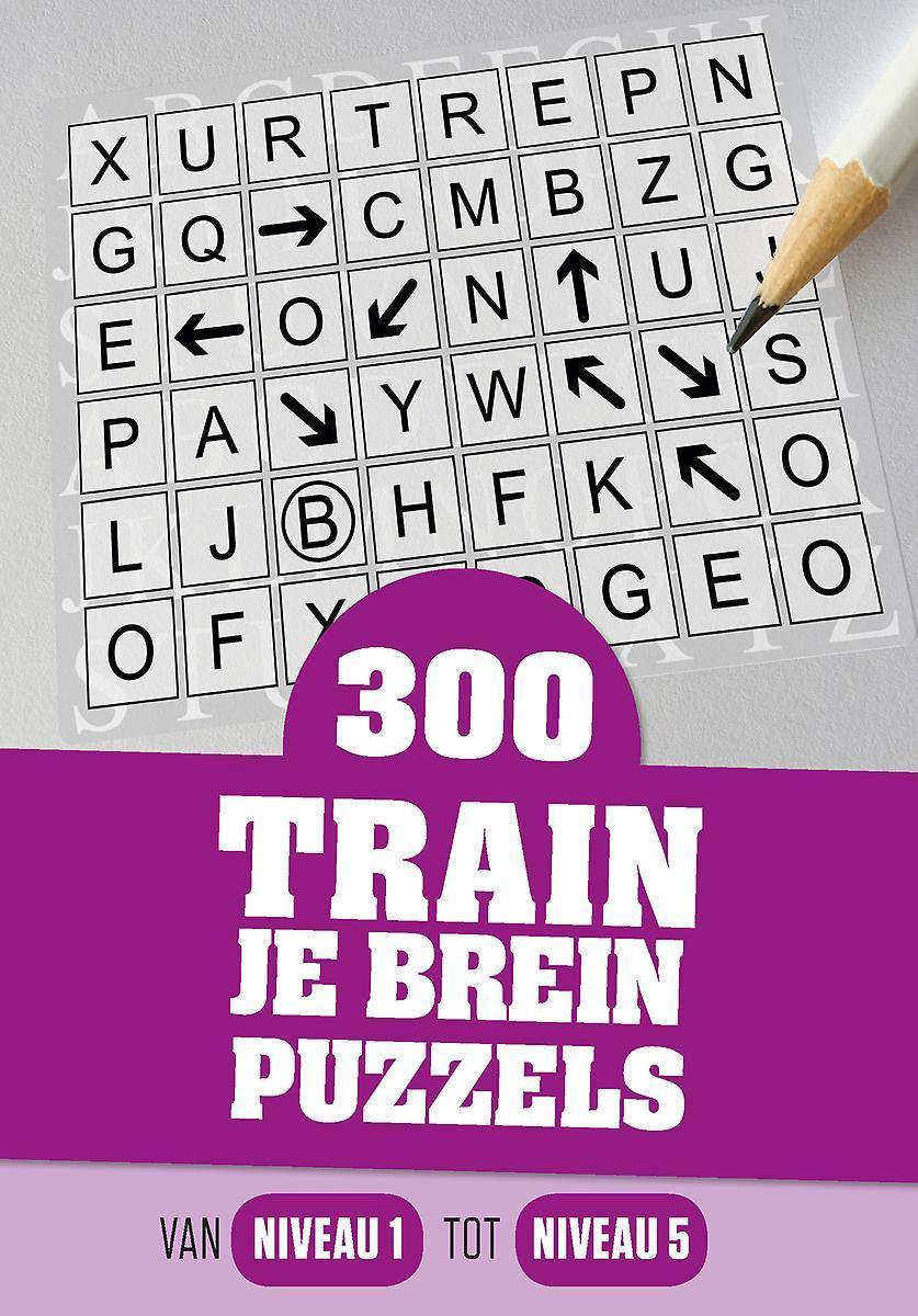 300 train je brein puzzels - Allerlei