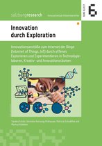 InnovationLab Arbeitsberichte 6 - Innovation durch Exploration
