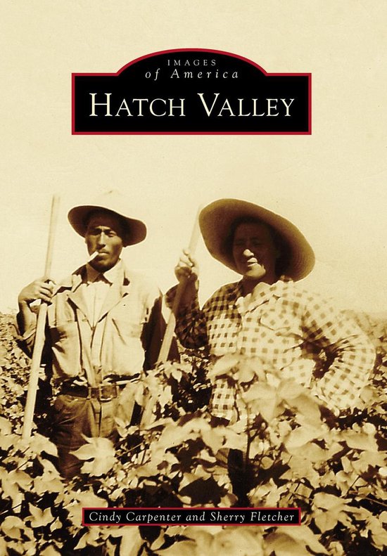 Hatch Valley (ebook), Sherry Fletcher 9781439651506 Boeken