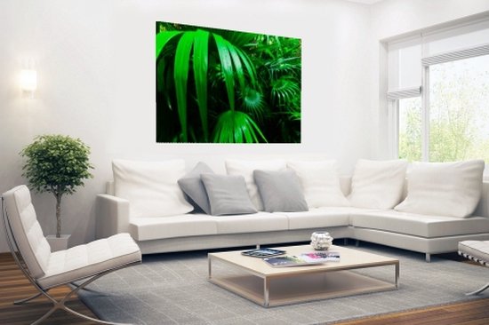 Poster Feuilles de palmier dans la jungle 150x75 cm - Tirage photo sur Poster (décoration murale salon / chambre)