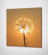 White Flower Canvas- 30 x 30 cm - Bloemen - Schilderij - Canvas - Slaapkamer - Wanddecoratie  - Slaapkamer - Foto op canvas