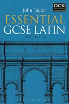 GCSE Latin adjectives revision notes