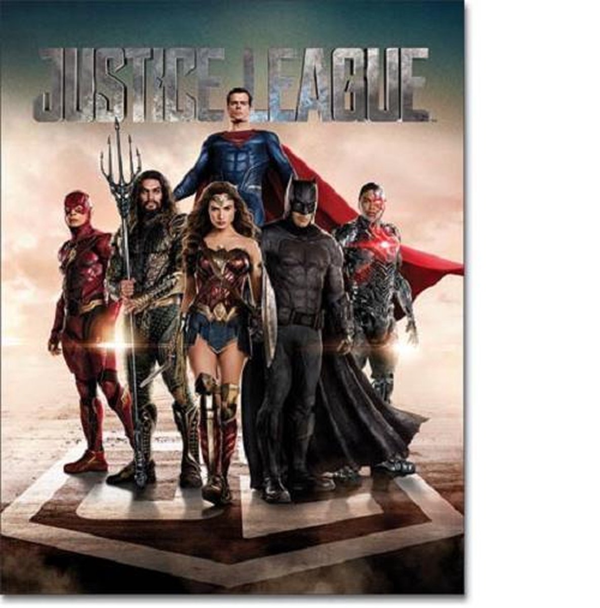 Desperate Enterprises Justice League Movie Metalen wandbord 31,5 x 40,5 cm. Multi