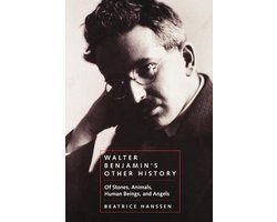 Walter Benjamin S Other History 9780520226845 Beatrice Hanssen