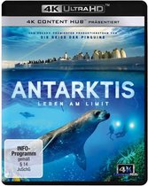 Antarktis (4K)/Blu-ray