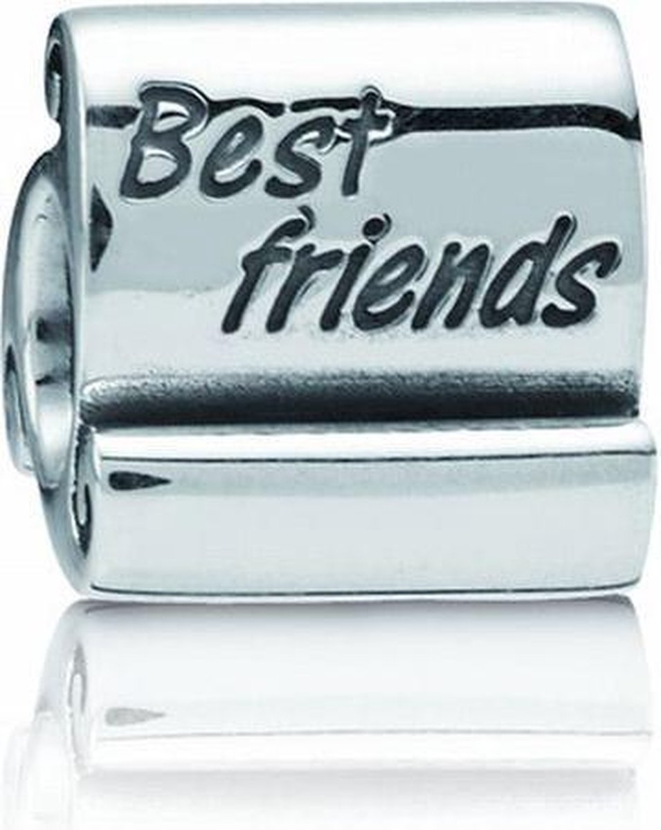 Pandora Moments Best Friends Bedel. | bol.com
