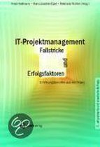IT-Projektmanagement - Fallstricke und Erfolgsfaktoren