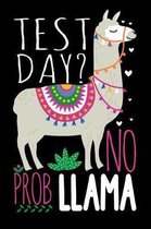 Test Day? No Prob Llama