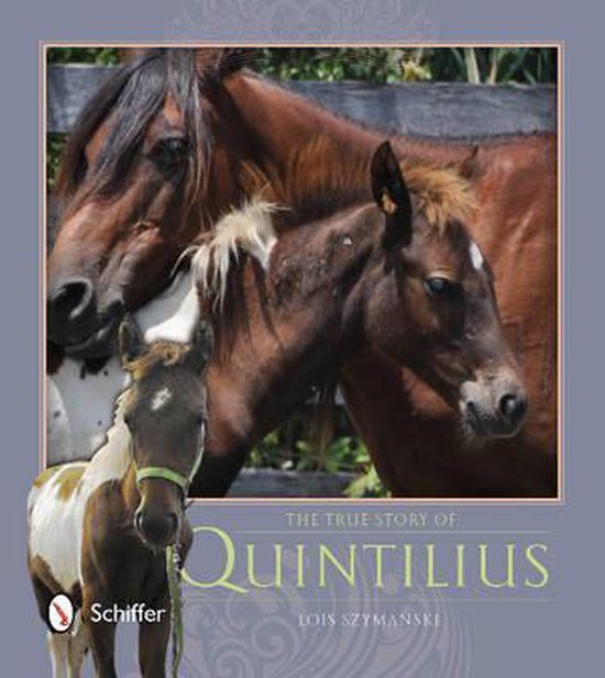 Boek cover True Story of Quintilius van Lois Szymanski (Paperback)