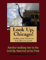 Look Up, Chicago! A Walking Tour of The Loop (South End)