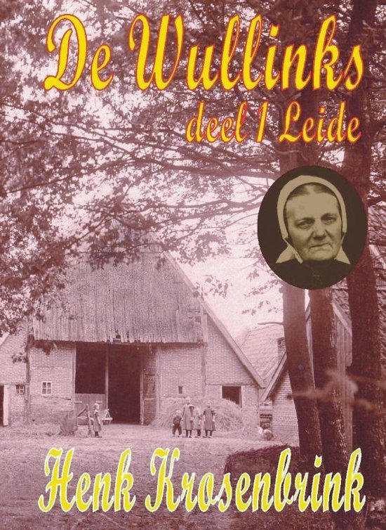 Cover van het boek 'De Wullinks / 1 Leide / druk 2' van Henk Krosenbrink