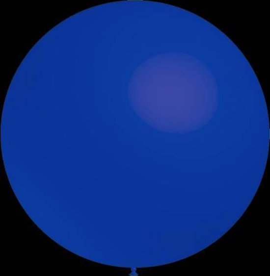 x100 Ballons bleu ciel