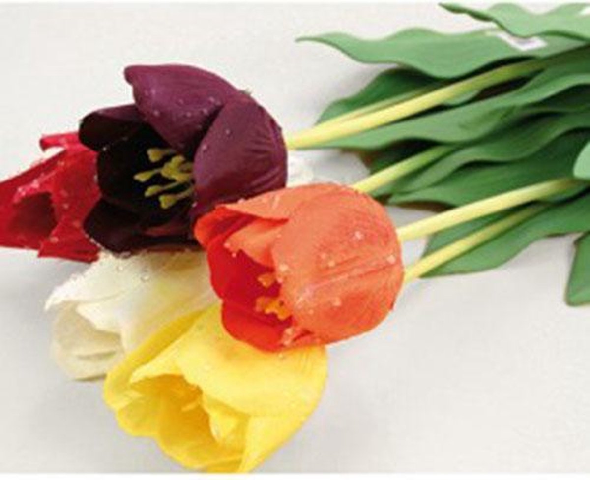 Tulpen