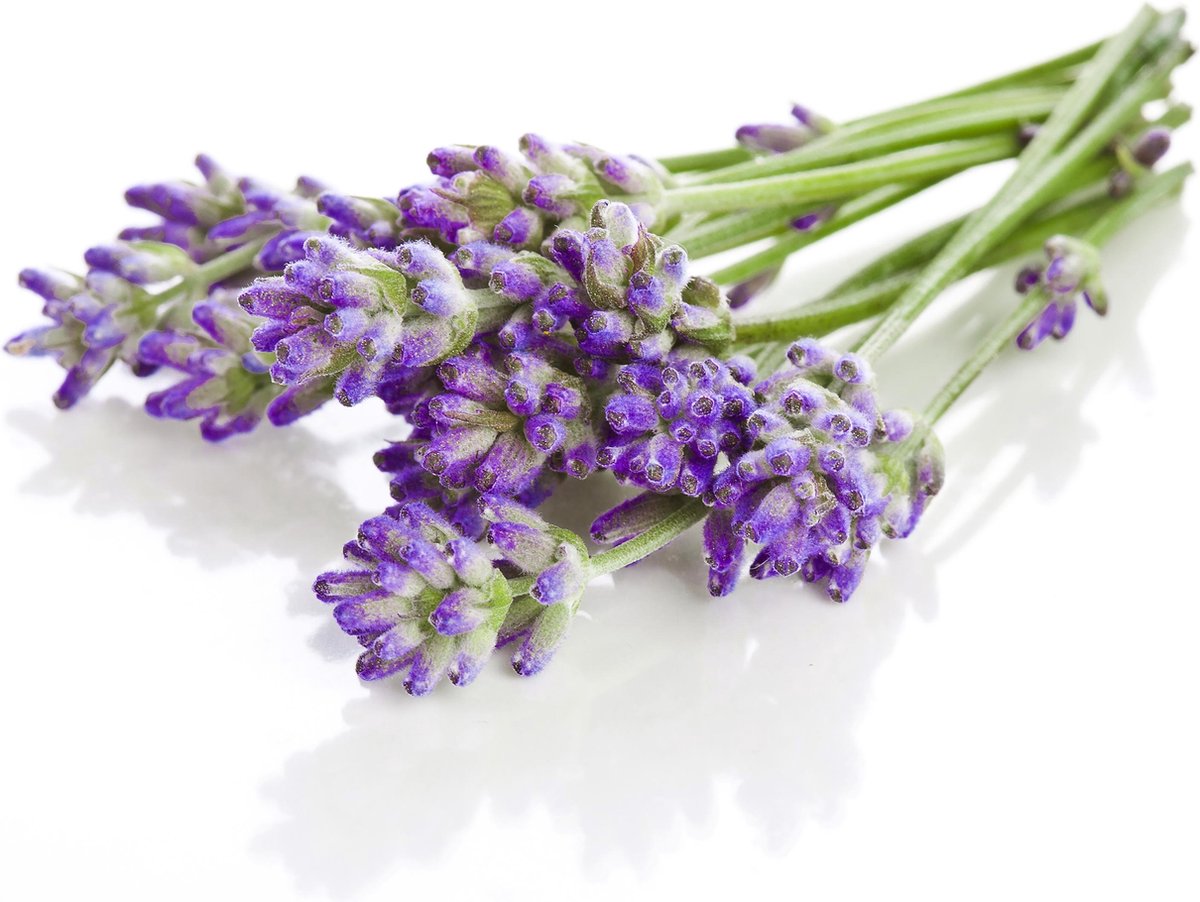 Scent&Blend wax melt navulling Lavendel