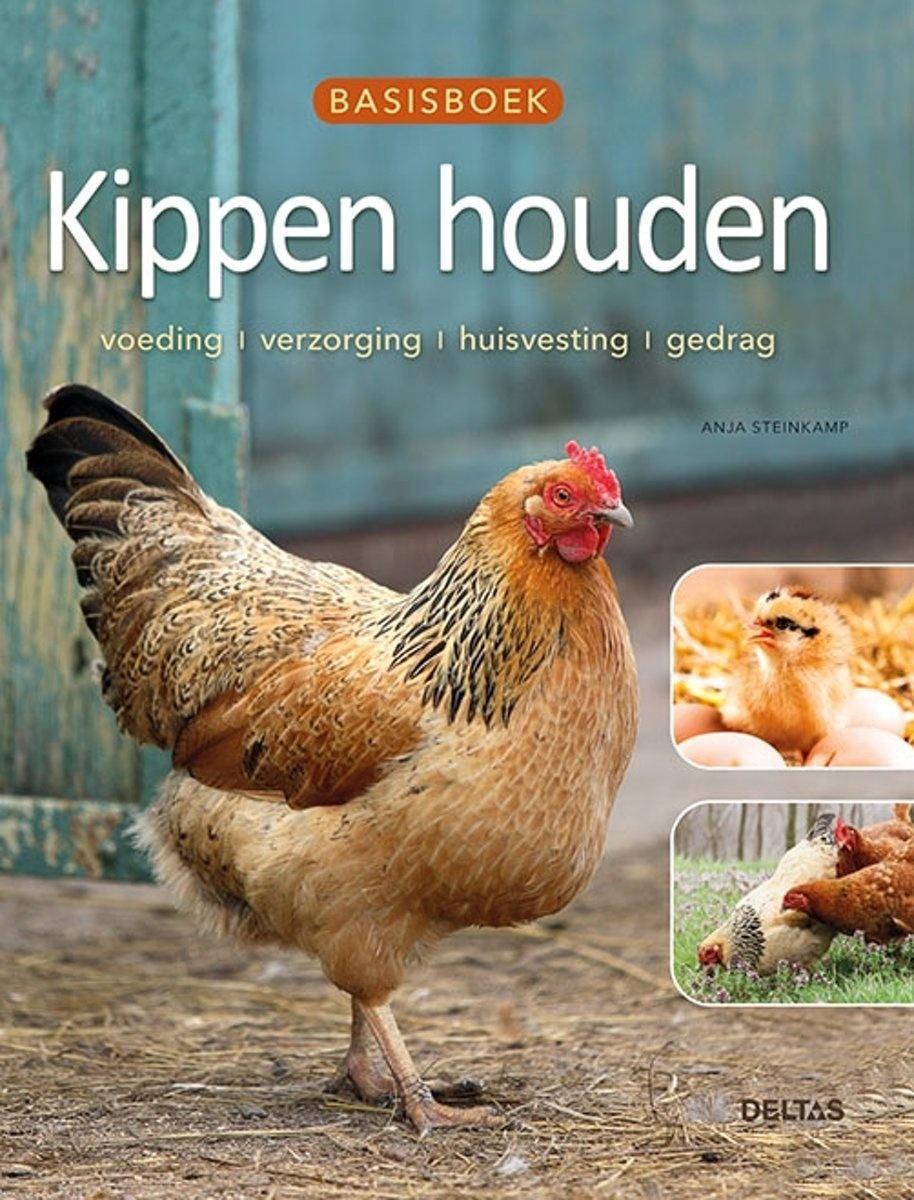 sokken single Omhoog Basisboek Kippen houden, Anja Steinkamp | 9789044753127 | Boeken | bol.com