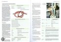Product afbeelding  11