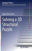 Solving a 3D Structural Puzzle