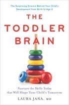The Toddler Brain