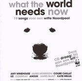 What The World Needs Now - 19 Songs