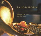 Salonhorn