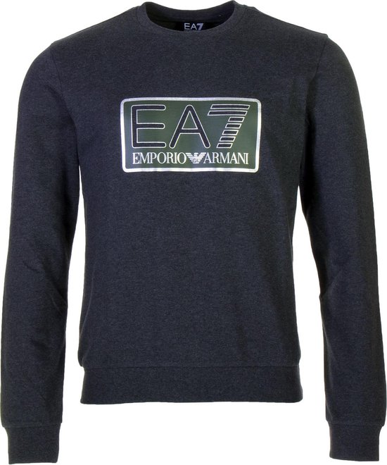 vaccinatie Vooraf Vegen EA7 Logo Sweater Heren Sporttrui - Maat S - Mannen - grijs/groen/zilver |  bol.com