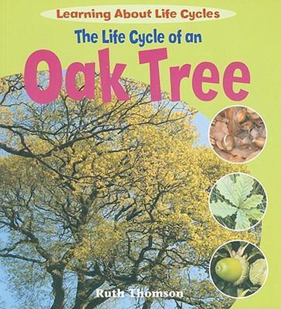 59 List An Oak Tree Has A Life Cycle Book 