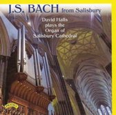 J.S.Bach From Salisbury