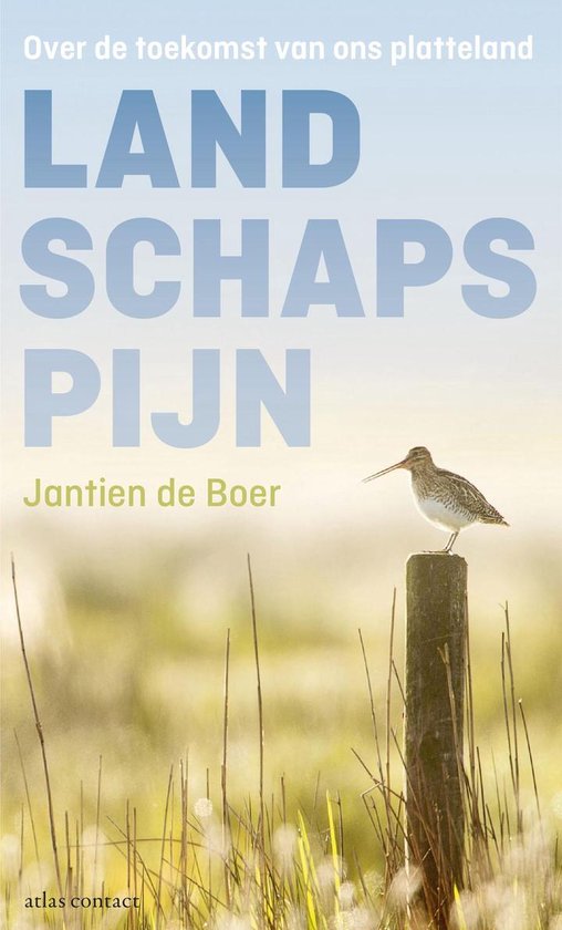 Landschapspijn - Jantien de Boer | Highergroundnb.org