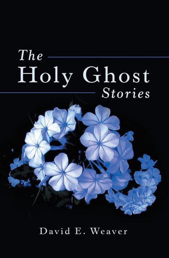 The Holy Ghost Stories - cover