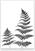 Textposters.com - Botanische varen poster zwart wit - woonkamer - slaapkamer – muurdecoratie – 30x40 cm