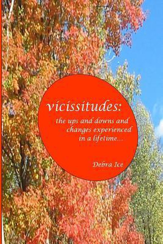 vicissitudes - cover