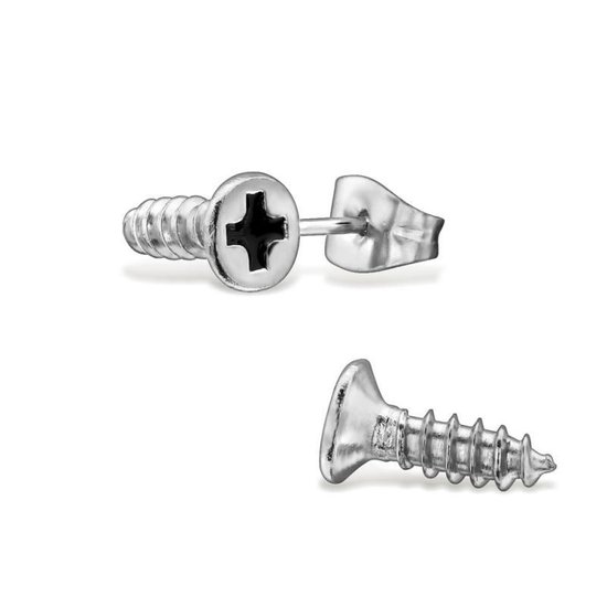 RVS oorbellen-zilverkleurige schroef | chirurgisch staal | bol.com