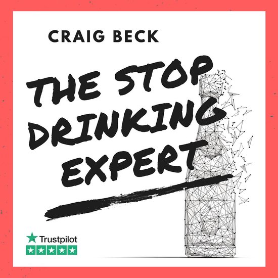 The Stop Drinking Expert: Alcohol Lied to Me Updated And Ext ... - cover