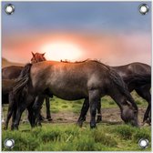 Tuinposter –Wilde Paarden– 50x50cmFoto op Tuinposter (Wanddecoratie voor buiten en binnen)