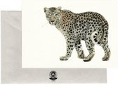 Realistische Tekening Postkaarten: Wildlife - Gemsbok - Giraffe - Luipaard - Stokstaartjes - Gazelle - Olifant - Leeuw - Dieren - Set van 7 Kaarten - Geprint op Duurzaam Papier