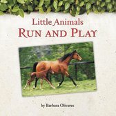 Little Animals Run and Play