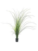 Europalms kunstplant gras Reed (grass),  145cm