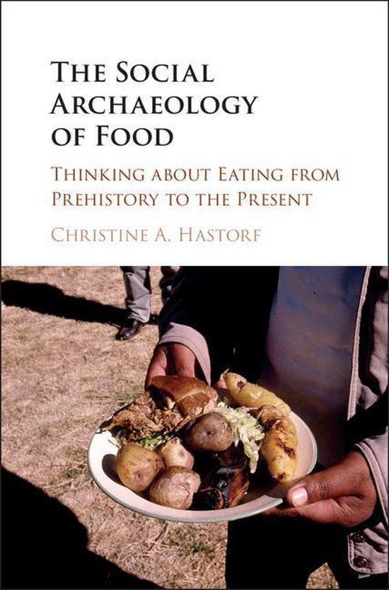 The Social Archaeology of Food - cover