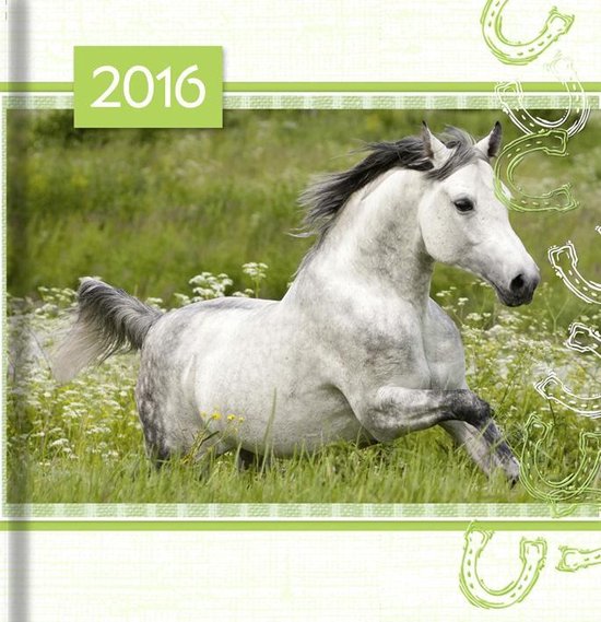 rijstwijn wrijving een beetje Agenda 2016 1 paard, Hallmark | 0042167822163 | Boeken | bol.com
