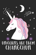 Unicorns Are From Changchun