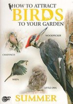 How to Attract Birds - Summer