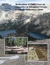 Restoration of Plant Cover on Capsisites in Subalpine Forests